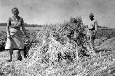 Kornernte, Heinrich Holtkamp und Erna um 1948