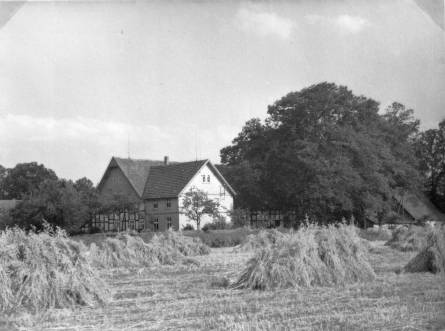 Hof Schnatbaum im Sommer