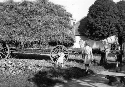 Strohfuder mit den Holtkamps Kindern um 1948