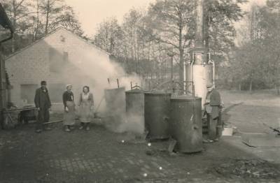 Kartoffeldämpfer Kartoffeldämpfer