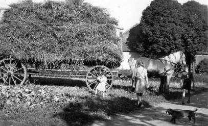 Strohfuder mit den Holtkamps Kindern um 1948 Strohfuder mit den Holtkamps Kindern um 1948