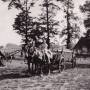 028_heuwagen2.jpg